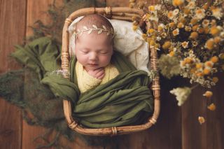 Galerie/Newborn (186)